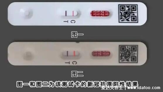 抗原檢測兩條杠什么意思，陽性但不一定感染了(核酸檢測確診)