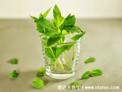 薄荷是植物“降溫劑”，撒一把在茶杯里，肝氣順了，頭腦都清醒