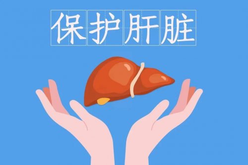  養(yǎng)肝的10種食物越吃肝臟越健康