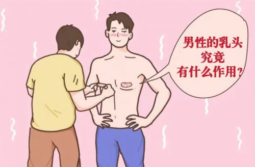 男性為什么會(huì)長(zhǎng)乳頭它有什么作用呢