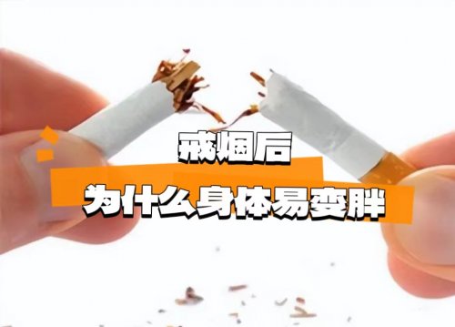 戒煙后為什么易出現(xiàn)體重增加的現(xiàn)象及其背后原因