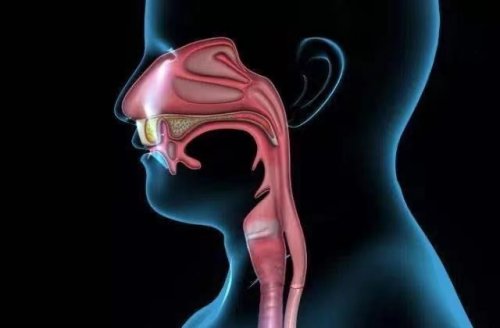 體檢沒事卻突然查出食道癌了可能與這8個(gè)因素有關(guān)